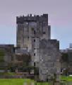 Blarney Castle